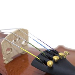 ویولن فونیکس مدل VP601 سایز ۴/۴ - تصویر 12