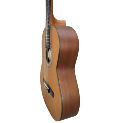 گیتار کلاسیک پارسی مدل Parsi M2