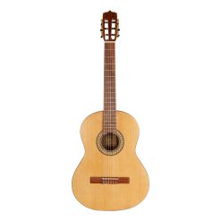 گیتار پارسی P70