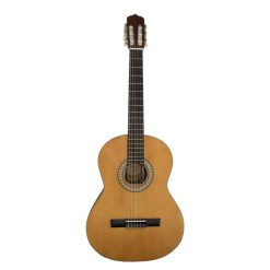 گیتار کلاسیک پارسی رنگ چوب مدل Parsi M2