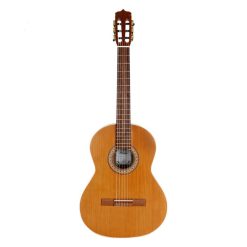 گیتار پارسی مدل Parsi P80