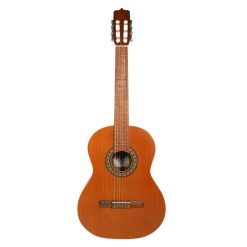 گیتار پارسی مدل D6