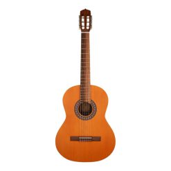 گیتار کلاسیک پارسی رنگ آکاژو مدل Parsi M2