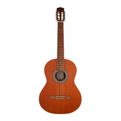 Alternative view of گیتار پارسی مدل P40 صفحه صنوبر (H) کد M016